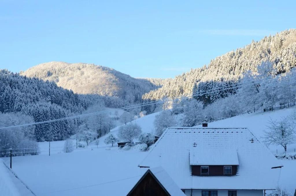 Oberbauernhof - 