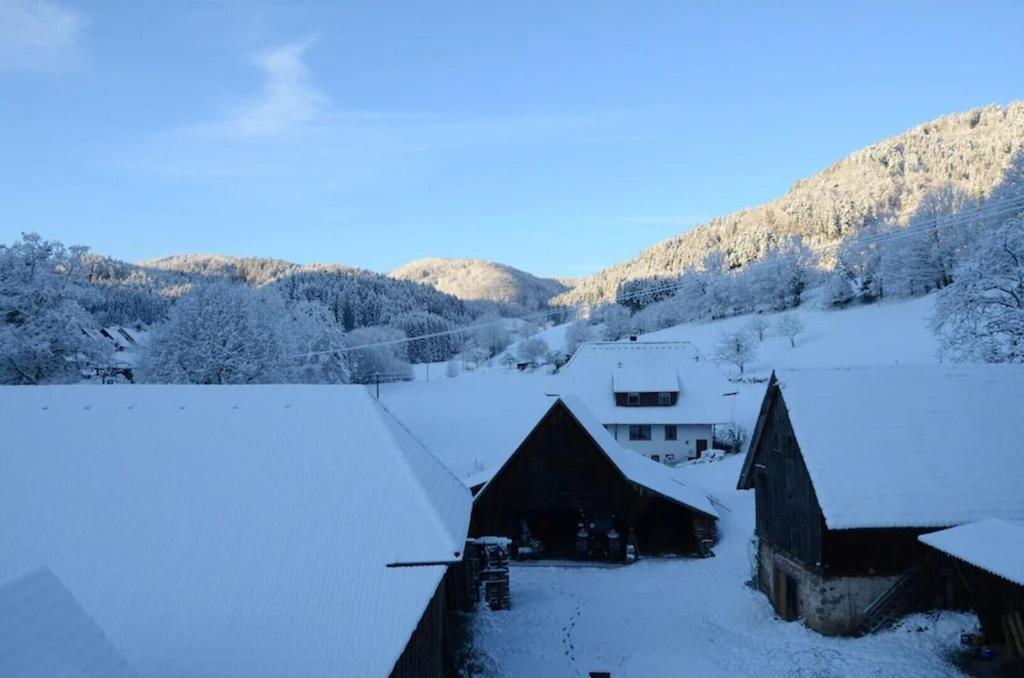Oberbauernhof - 